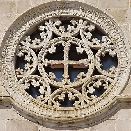 Premium Zec By Pag Tours