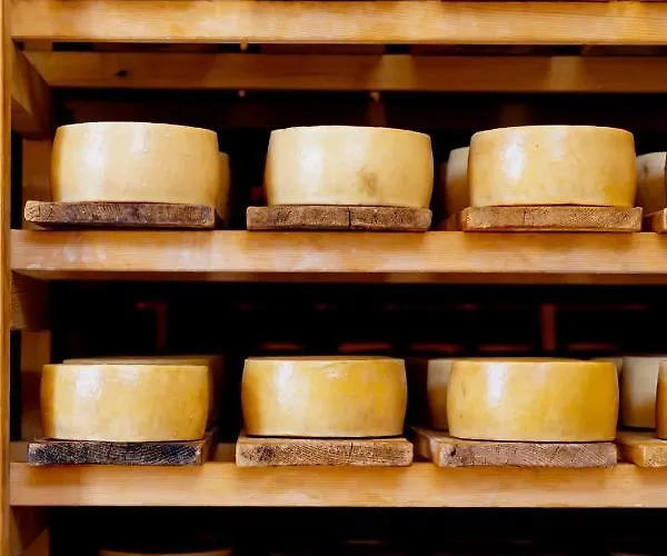 Apartmán Premium Zec By Pag Tours