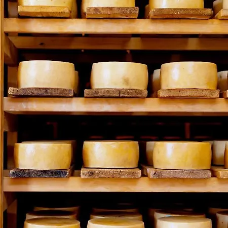 Apartament Premium Zec By Pag Tours